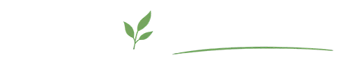 Life's Essentials – Everyday Inspiration & Tips